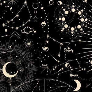 Meet your Posher, Leilani